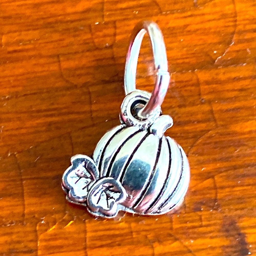 5/$10❤️❤️❤️NWTs TiBetan Silver Pumpkin Charm